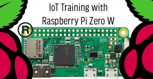 IoT Training with Raspberry Pi Zero W in Malaysia